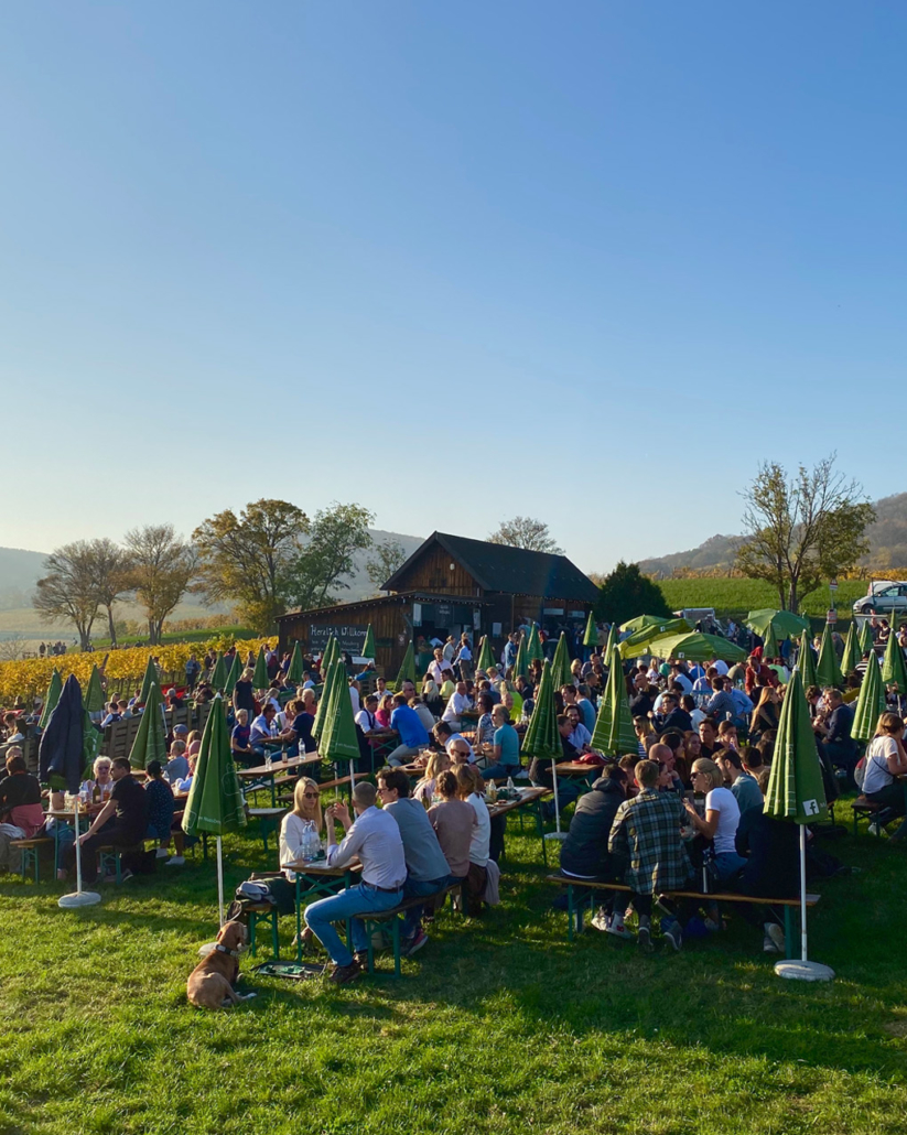 Buschenschank Mayer am Nussberg